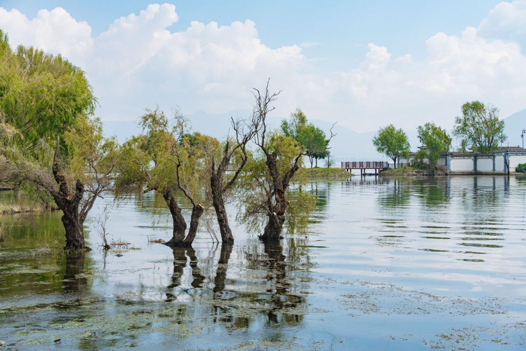 ce trasee merita sa faci in delta dunarii