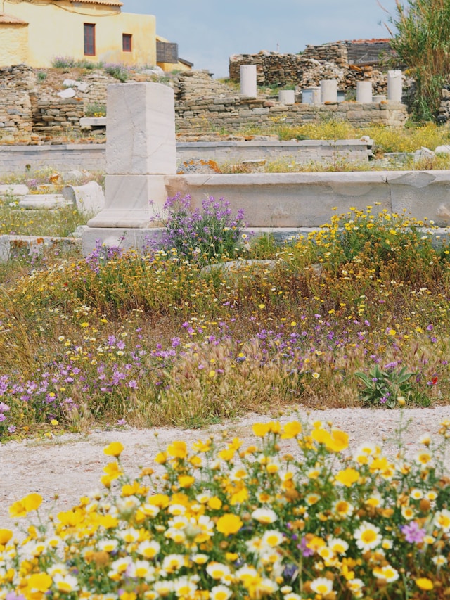 Top Obiective Turistice Mykonos – Insula Delos